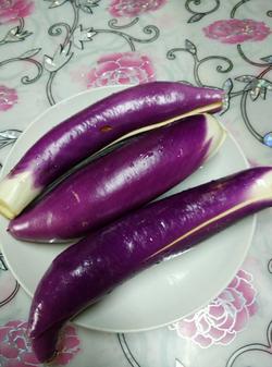 ��������������ѧ_������ѧ��