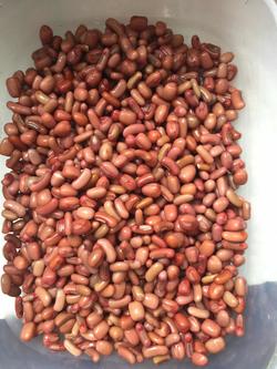 Ҭ֭�춹�����������_������ѧ��