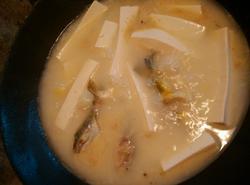 ���㶹��������������_������ѧ��