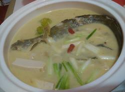 ���㶹��������������_������ѧ��