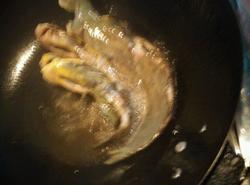 ���㶹��������������_������ѧ��