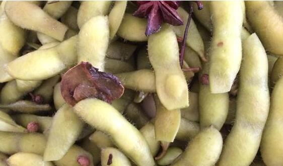 ����ë������������_������ѧ��