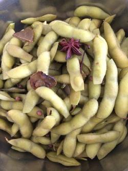 ����ë������������_������ѧ��