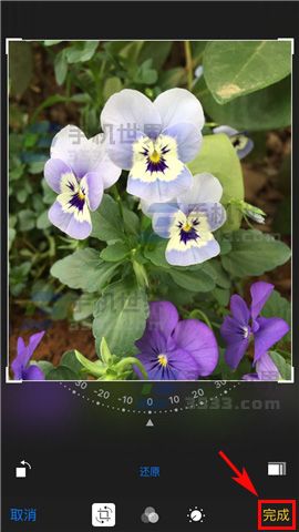 ƻiPhone7 PlusβüƬС_ѧ