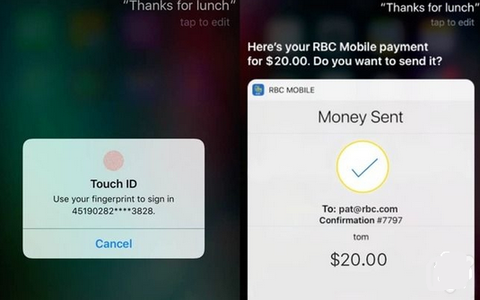 ƻ��Siri�������ת��_������ѧ��