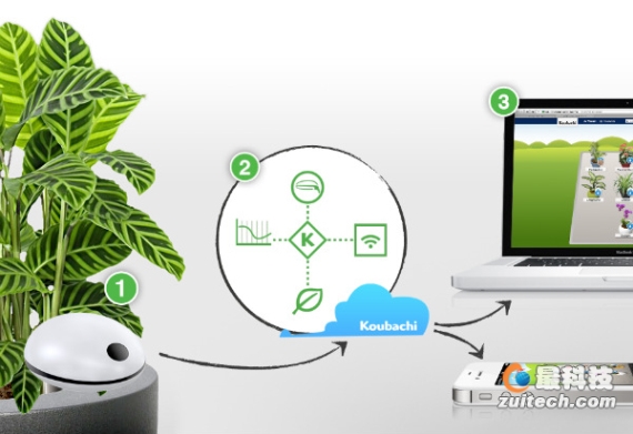 Koubachiƻ���ֻ���԰��Ӧ��ϵͳ_������ѧ��