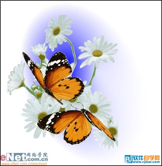 IllustratorCS6制作蝴蝶动态效果教程 - 1 - 软件自