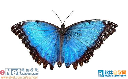 PS快速合成明星花仙子效果