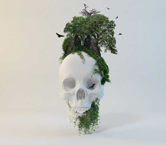 15套国外2014年最新平面设计 - 1 - 软件自学网