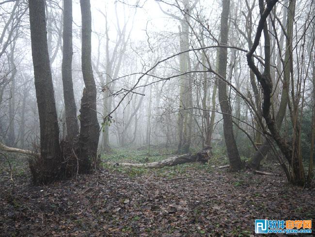 PS合成恐怖昏暗的森林场景 PS教程 - 软件自学