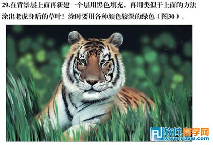 PS手绘老虎图片 PS教程 3 - 软件自学网