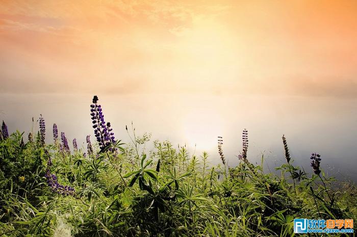 ps抠图杂乱的背景 PS教程 4 - 软件自学网