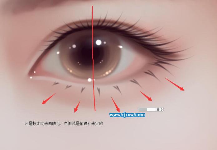 ps手绘大眼睛 - 4 - 软件自学网