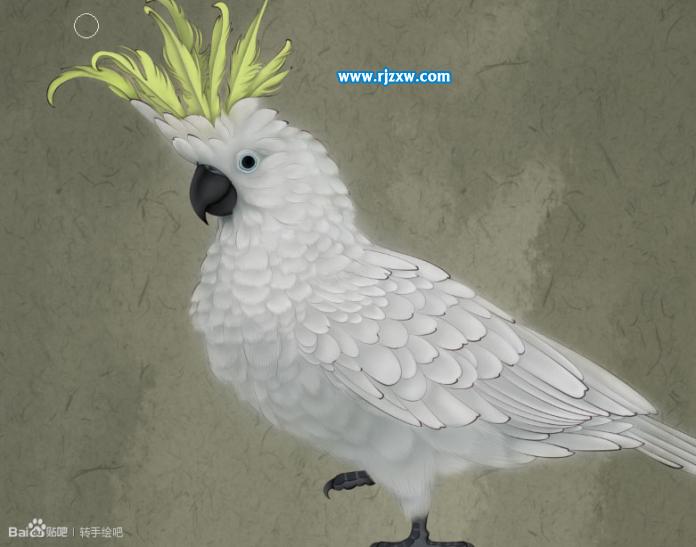 PS把人物转为工笔画效果 PS教程 7 - 软件自学