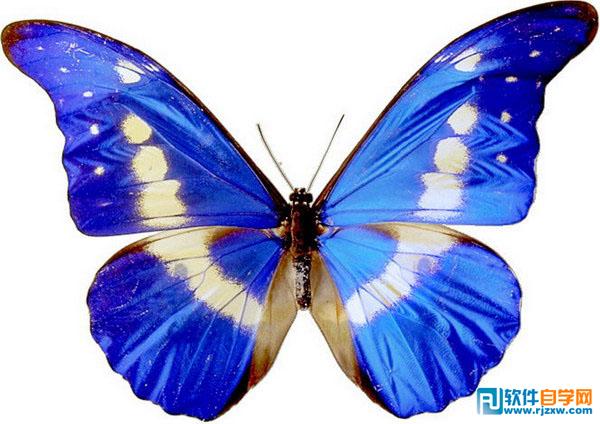 制作甜蜜爱情签名_软件自学网