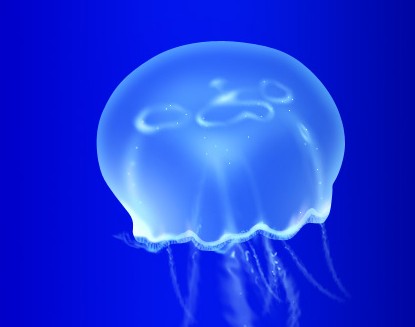 软件自学网_cad教程,ug教程,pro\/e教程,各类办