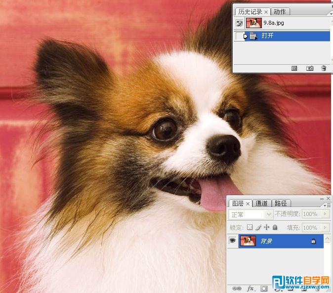 利用PS通道混合器和画笔抠出宠物狗教程