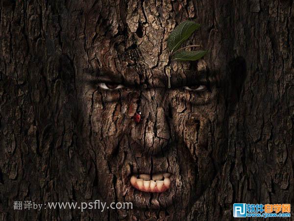 PS合成恐怖的树皮脸