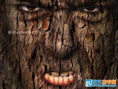 PS合成恐怖的树皮脸 - 9 - 软件自学网