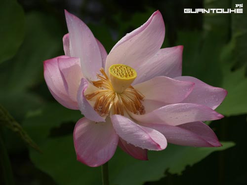 photoshop图片处理及美化 - 1 - 软件自学网