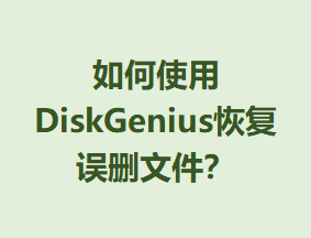 ʹDiskGeniusָɾļ