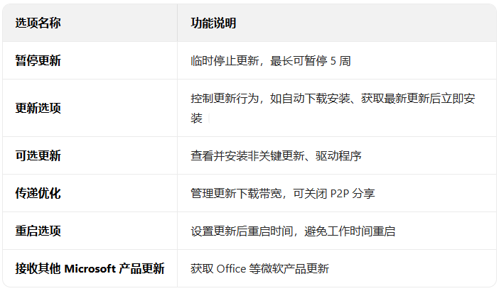 win11��ô����Windows�����е�����ѡ��_������ѧ��