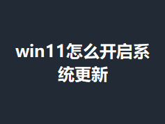 win11��ô����ϵͳ����