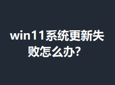 win11ϵͳ����ʧ����ô�죿