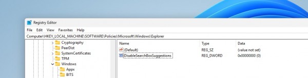 ����������������ְ��ֽ������ Win11 ϵͳ 13 �� AI ��������