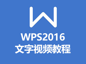 WPS2016Ƶ̳_ѧ