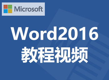 Word2016̳Ƶ