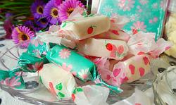 ţ���ǵ�������������