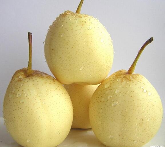 ʯ��ׯ�ز�������Ѽ��