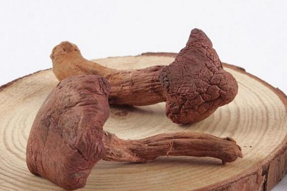 �����ز���Ұ������Ģ