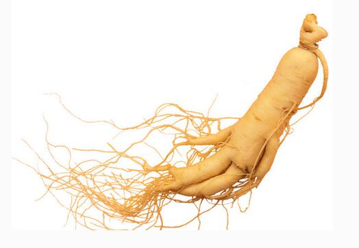 �˲���ʲôʳ����˲���һ���