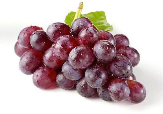 ������ʲôʳ����˲���һ���