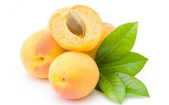 ������ʲôʳ����˲���һ���