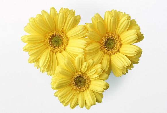 �ջ���ʲô��˽���