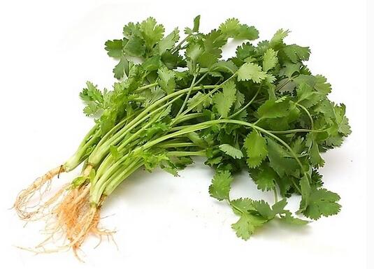 ��˺�ʲô���