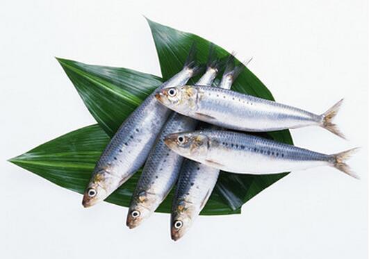 ɳ������ʲô���