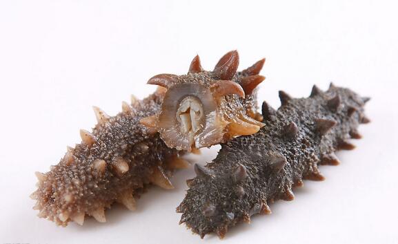 ������ʲô���