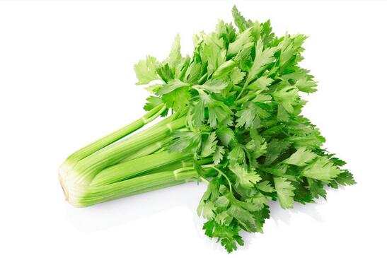 ���۲���˵�ʳ�����