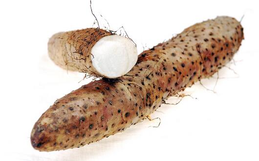 ɽҩ����Щʳ����˽���