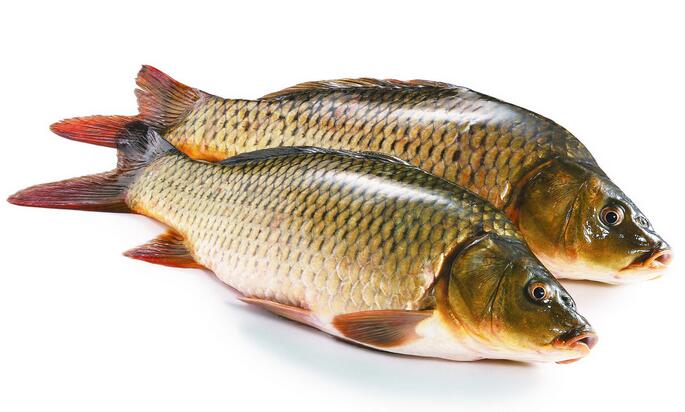 ��������Щʳ����˽���