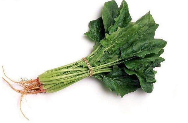 ��������Щʳ����˽���