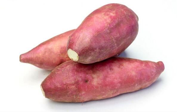 ��������Щʳ����˽���