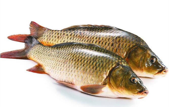 ��������Щʳ����˽���