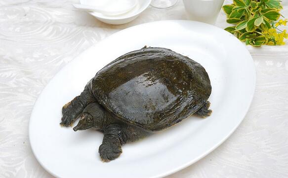 ��������Щʳ����˽���