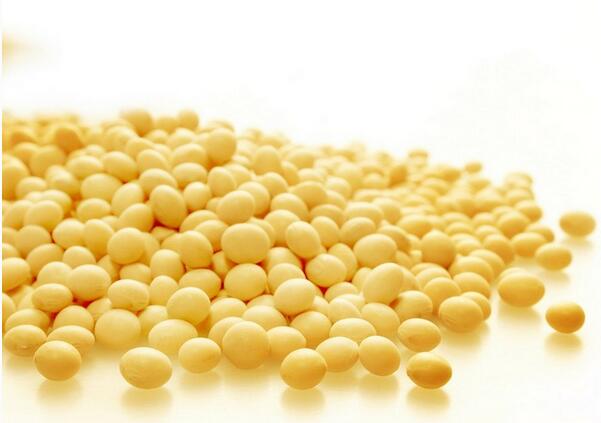 �ƶ���ʲôʳ����˲���һ���