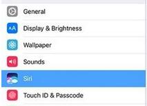siriֵ֧ĵӦ